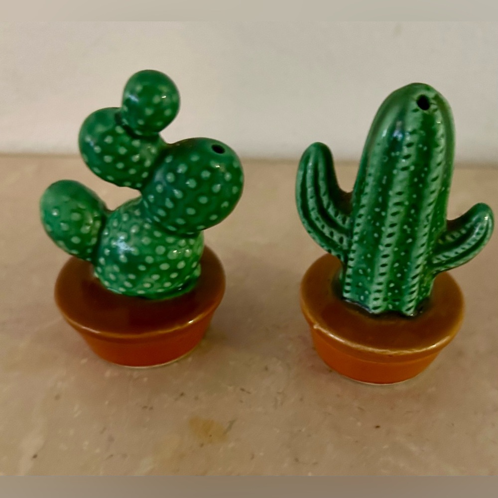 Cactus salt and pepper shakers.